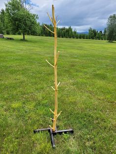 a tree that is standing in the grass