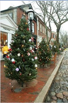 christmas trees are lined up on the sidewalk