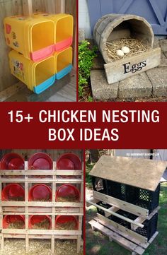 chicken nesting box ideas with text overlay