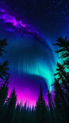 an aurora bore is seen in the sky above some trees