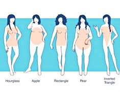 the stages of women's breast sizes