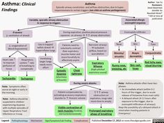 the flow diagram for asthma and fibrosisal findings, with several different areas labeled in