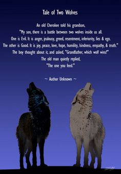 two wolfs standing next to each other in front of a blue sky with the quote tale of two werewolvess