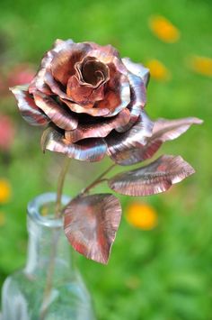 a rose in a glass vase sitting on a table