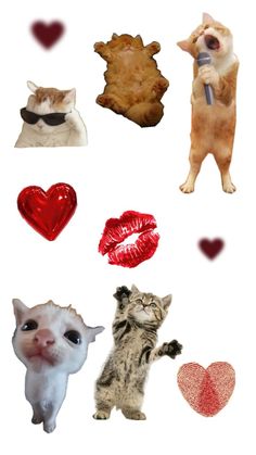 cats, dogs and hearts are arranged in the shape of heart shapes