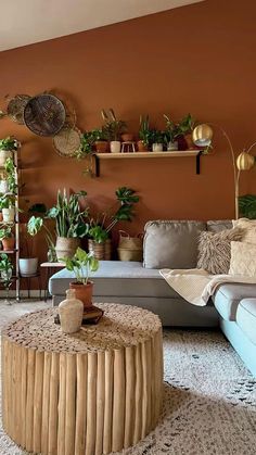 a living room filled with furniture and lots of potted plants on top of it