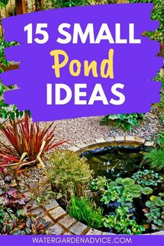 small pond in the middle of a garden with text overlay that reads 15 small pond ideas