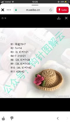 an image of a hat with flowers on it and the words in chinese above it