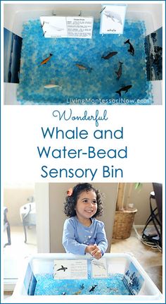 This "W is for wonderful whale and water-bead sensory bin," is part of the A-Z of Animals Series! You'll find links to free printables and a YouTube video along with ideas for preparing a whale sensory bin or water table. Jonah And The Whale Craft For Toddlers, Whale Activities, Asd Activities, Shark Whale, Sensory Tubs, Whale Theme, Sea Activities