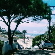 a street with cars parked on the side of it and palm trees in the foreground