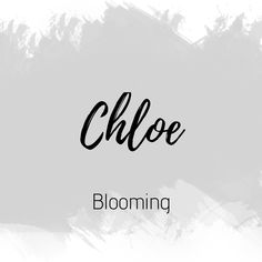 the words cloe blooming in black and white on a gray background with brush strokes