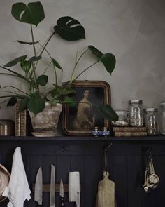 a potted plant sitting on top of a shelf next to kitchen utensils