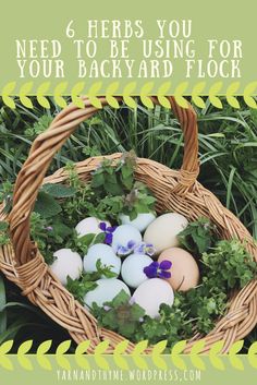 a basket filled with eggs sitting on top of grass