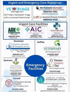 Emergency Care, Veterinary Hospital, Urgent Care, Animal Hospital, Emergency Service, Veterinarian