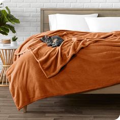 a cat laying on top of a bed covered in an orange blanket and white pillows