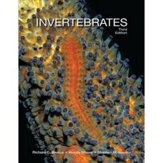 the book cover for invertebrateds