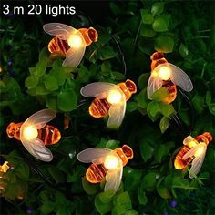 several lights that look like bees in the grass with leaves around them and on top of each other