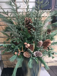 a potted plant with pine cones and evergreen needles on the side of a house