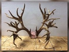 two deer antlers are standing on the floor next to a piece of pink stuff