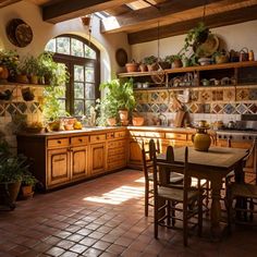 a kitchen with lots of potted plants in it