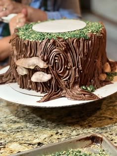 there is a cake that looks like a tree stump with mushrooms on it and moss