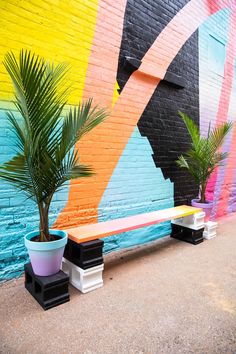 a bench and potted plant in front of a colorful wall