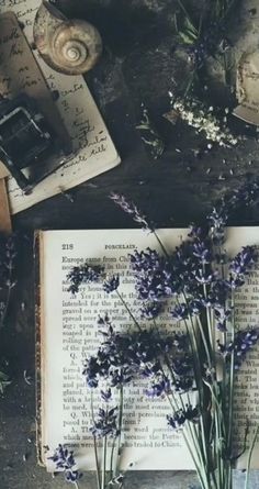 an open book sitting on top of a table next to some purple flowers and shells