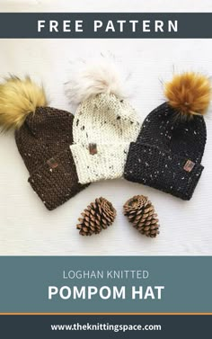 three knitted pompom hats with pine cones on top and the text free pattern