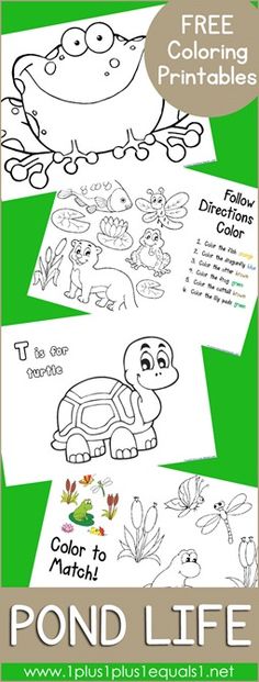 the pond life coloring book with free printables for kids to color and draw