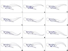 step by step instructions on how to draw a cat's tail and head with scissors