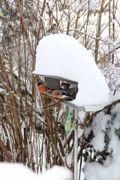 two snowboarders are sitting on the back of a chair in front of some trees