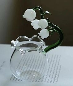 a glass vase filled with white flowers sitting on top of a table next to an open book