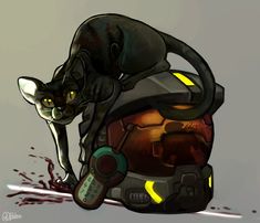 a black cat sitting on top of a helmet with blood all over it's sides