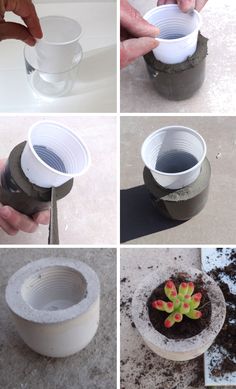 four pictures showing how to make a potted succulent planter out of toilet paper