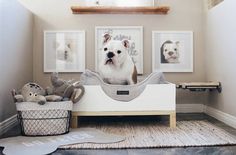 a white dog sitting in a pet bed next to two framed pictures on the wall