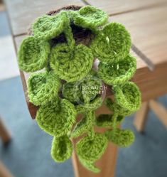 a green crocheted plant hanging from a wooden table