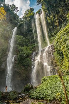 a man standing in front of a waterfall with lots of green plants on the ground