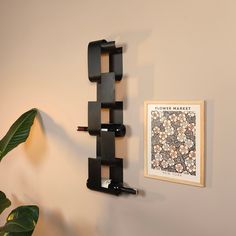 a wall mounted wine rack next to a plant