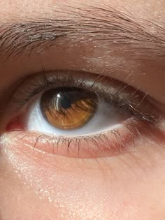 the beauty of brown eyes #browneyes #eyes #sun #lighting Light Brown Eyes In The Sun, Dark Brown Eyes In Sunlight, Brown Eyes Aesthetic Girl, Honey Brown Eyes Aesthetic, Light Brown Eyes Aesthetic, Tim Burton Eyes, Brown Eyes In The Sun, Amber Brown Eyes, Chocolate Brown Eyes