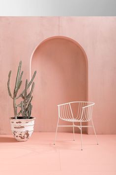 a white chair sitting next to a potted plant