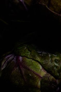 a close up view of an artichoke in the dark