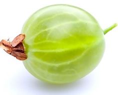 an image of a green fruit on a white background