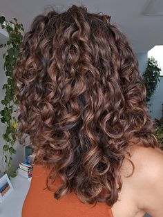 Cinnamon Balayage Curly Hair, Highlights On 2c Hair, Honey Brown Highlights Curly Hair, Curly Dark Brown Hair With Highlights, Shaggy Hair Ondulado, Ondulado 2c, Chocolate Brown Hair Ideas, Curly Balayage Hair, Midi Hair