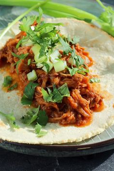 a tortilla topped with shredded meat and garnished with cilantro