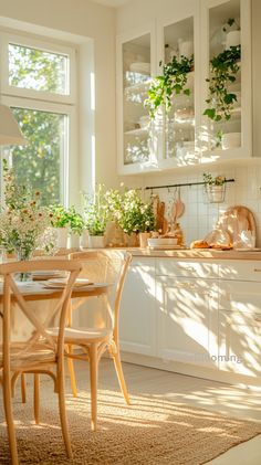 the kitchen is clean and ready to be used for cooking or dining room furniture, as well as plants