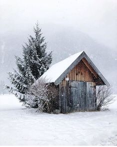 an outhouse in the middle of a snowy field with trees and snow flakes