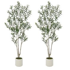 two white vases with green plants in them