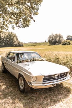 an old car with flowers on the hood is parked in a field near a tree