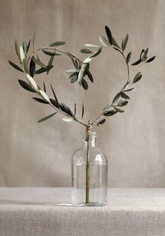 an olive branch in a glass bottle on a table