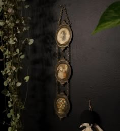 two antique clocks hanging on the wall next to a potted plant and stuffed animal